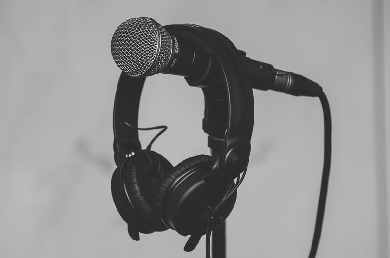 Interview Microphone